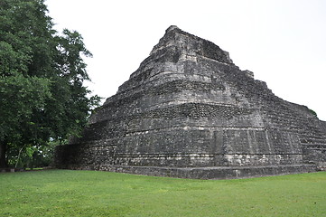 Image showing Chacchoben Mayan Ruins