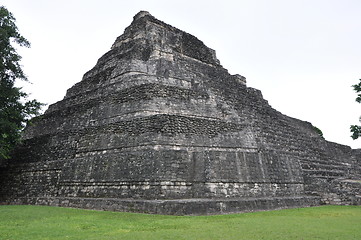 Image showing Chacchoben Mayan Ruins