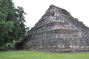 Image showing Chacchoben Mayan Ruins