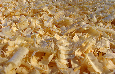 Image showing Shavings