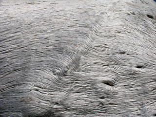 Image showing Old Wood Texture