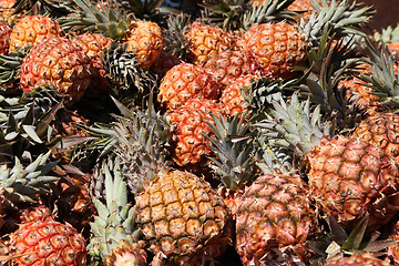 Image showing Pineapples