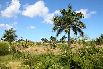 Image showing Cuba