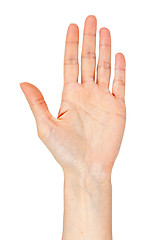 Image showing woman's hand