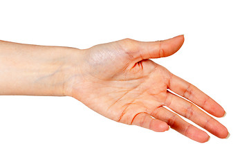 Image showing woman's hand