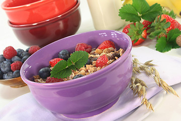 Image showing Fruit Muesli