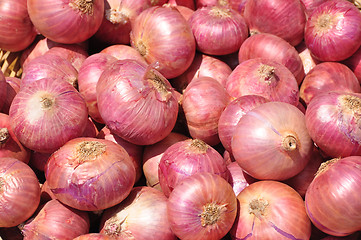 Image showing Onion