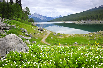 Image showing Mountain lake in Jasper National Park, Canada