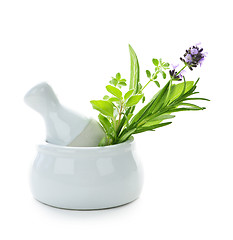 Image showing Healing herbs in mortar and pestle