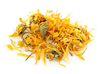 Image showing Dried calendula herb flowers