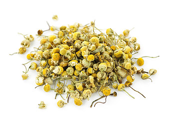 Image showing Medicinal chamomile herbs