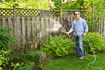 Image showing Man watering garden