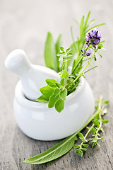 Image showing Healing herbs in mortar and pestle