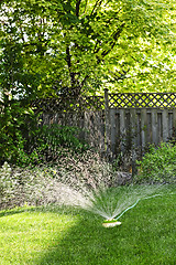 Image showing Lawn sprinkler watering grass