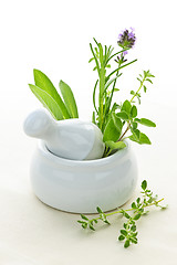 Image showing Healing herbs in mortar and pestle