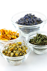 Image showing Dried medicinal herbs