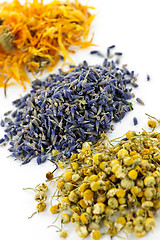 Image showing Dried medicinal herbs