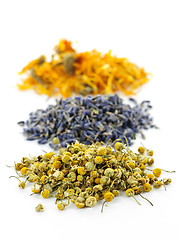 Image showing Dried medicinal herbs