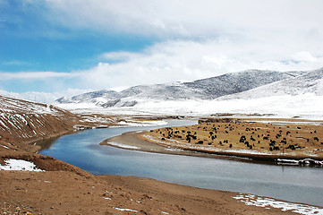 Image showing Landscape in winter