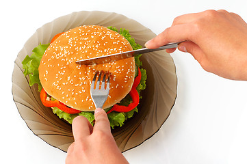 Image showing Big hamburger on a plate meal time