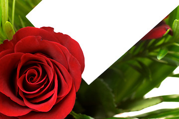 Image showing Red rose and greeting card 6