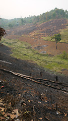 Image showing Slash and burn agriculture in Thailand