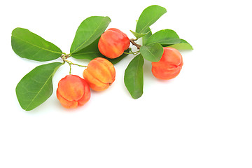 Image showing Cherry; object on a white background