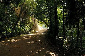 Image showing Peaceful walkway though the trees in Granada