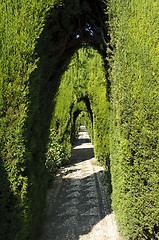 Image showing Generalife gardens in Granada, Spain
