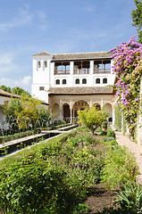 Image showing Alhambra - Patio de la Acequia inside the Generalife gardens