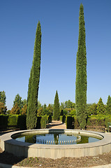 Image showing Fountain and cypress trees in Federico Garcia Lorca Park