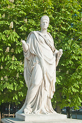 Image showing Statue In The Tuileries