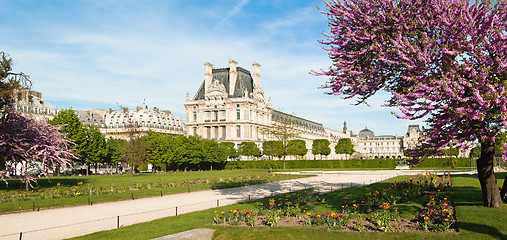 Image showing Spring in Paris. France