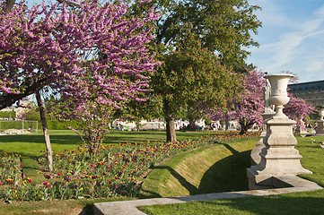 Image showing Spring in Paris. France