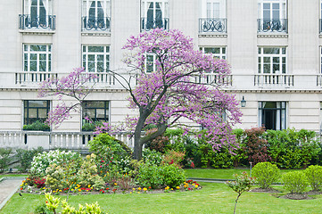 Image showing Spring In Paris, Garden