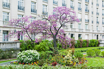 Image showing Spring In Paris, Garden