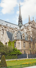 Image showing Notre Dame de Paris