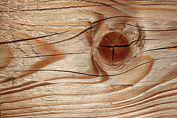 Image showing Wooden cutting board