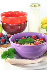 Image showing Fruit Muesli