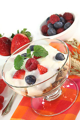 Image showing Fruit Muesli