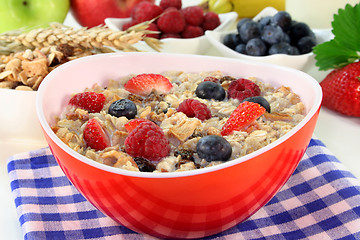 Image showing Fruit Muesli