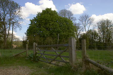Image showing 5 bar gate