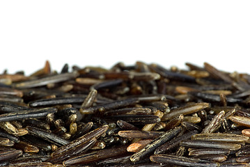 Image showing Background of black wild rice