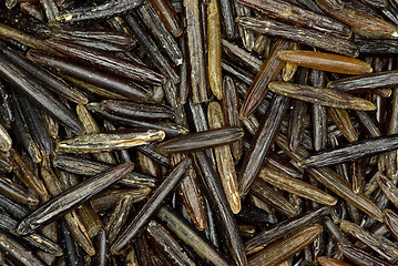 Image showing Abstract background: Black wild rice grains