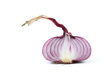 Image showing Half of red onion