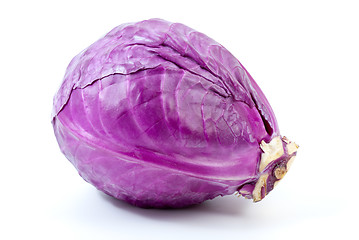 Image showing Violet cabbage