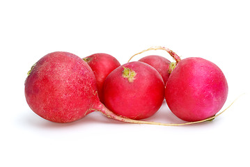 Image showing Few red ripe garden radish