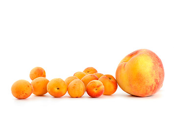 Image showing One peach and few apricots