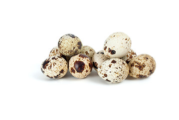 Image showing Few fresh quail eggs