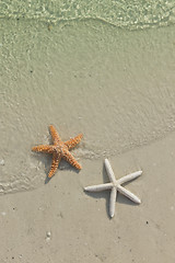 Image showing Couple of starfish on a tropical beach, tide coming in